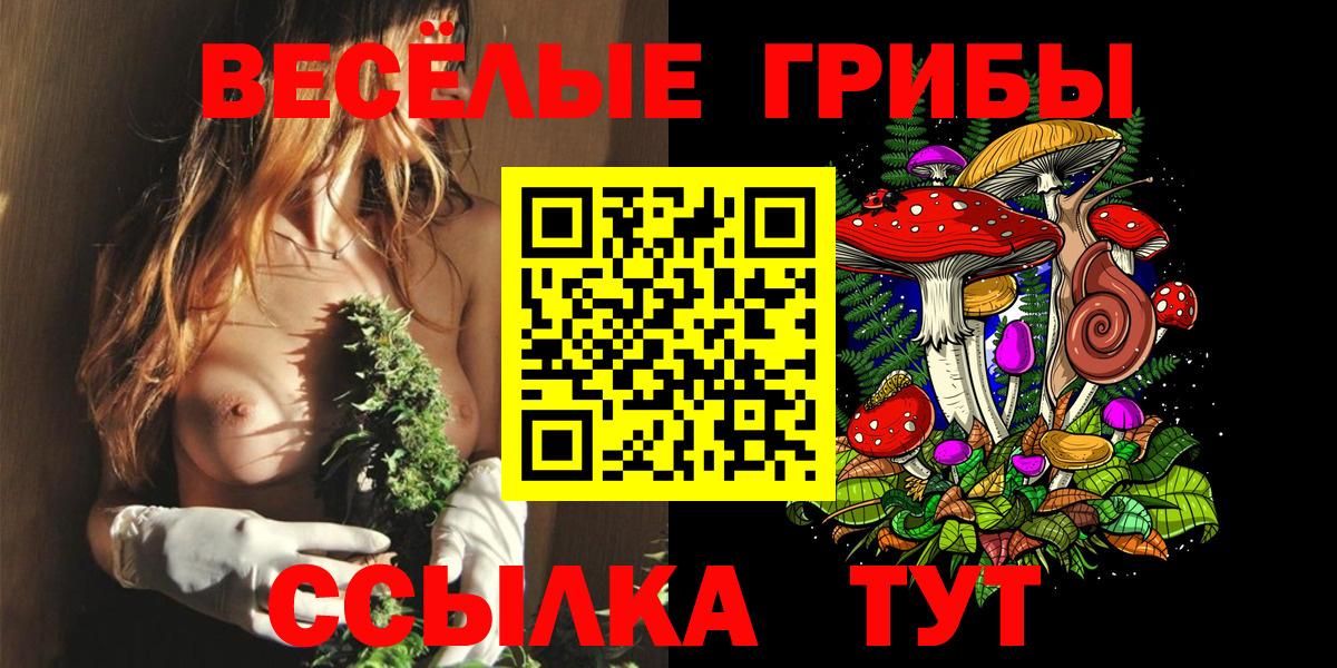 Галлюциногенные грибы мухоморы  Галлюциногенные грибы мухоморы  сколько стоит  Коммунар  Вход с VPN 